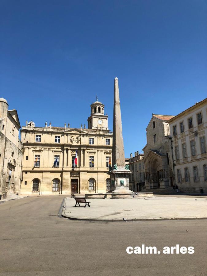 Maison Terrasse Beauduc, Arles Zewnętrze zdjęcie