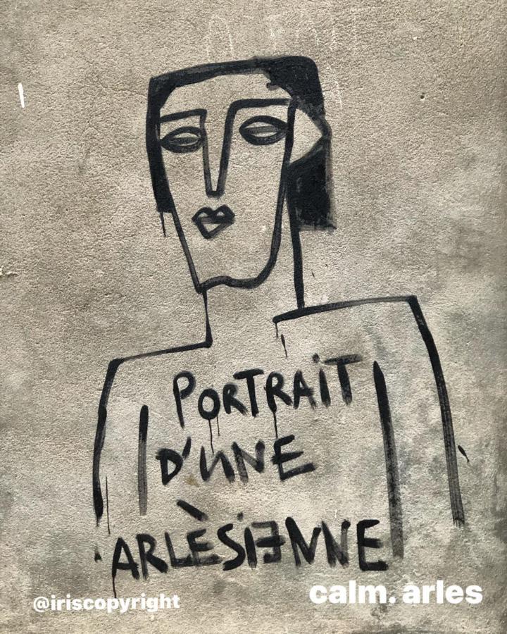 Maison Terrasse Beauduc, Arles Zewnętrze zdjęcie